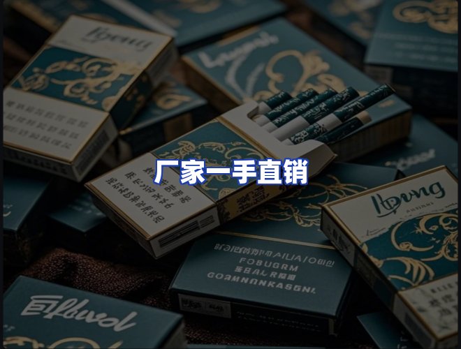 专业团队